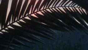 Villa Tramonto Capo d'Orlando - Foto 2