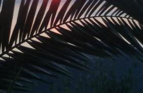 Villa Tramonto Capo d'Orlando - Foto 2