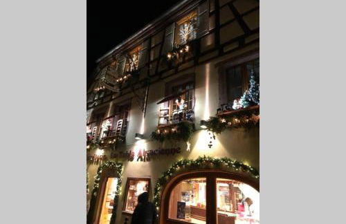 Coeur Alsace - Foto 66