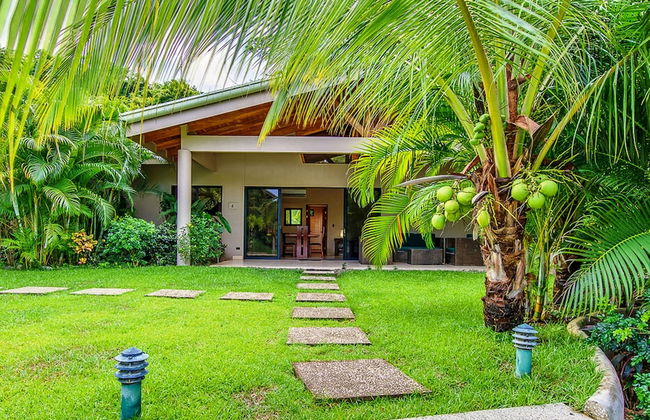 Hidden Palms Nosara - Photo 78