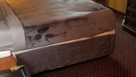 OSU King Bed Hotel Room 111 Booking - Foto 4