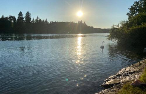 Ferienwohnung Verschnuufeckli - Foto 15