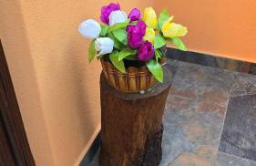 Il Richiamo della Cascata - Foto 29