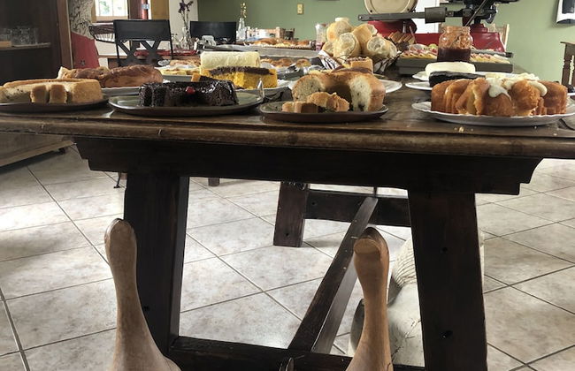 casa de temporada vovó iris - Foto 12