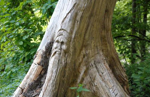 Rothaarsteig Ferienhaus - Foto 21