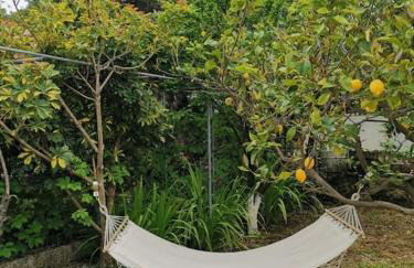 LEMON TREE GARDEN near Mirtos beach - Foto 29