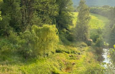 Ferienwohnung Burg Hausen - Foto 54
