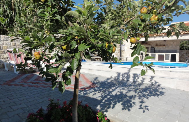 Villa Riva - Foto 45