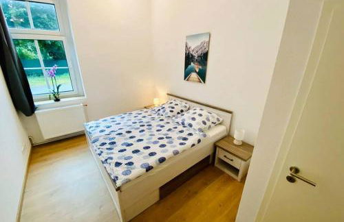 FeWo Seenest #Netflix #Seenähe #Einkaufen von Harztraveler - Foto 9