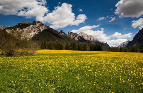 Villa Ortensia - Photo 41