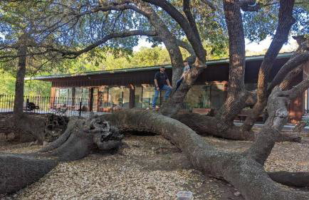 Legacy Ranch - Foto 26