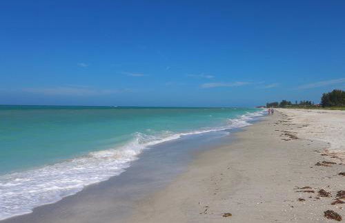 Cabana Beach Club by RVA - Photo 46