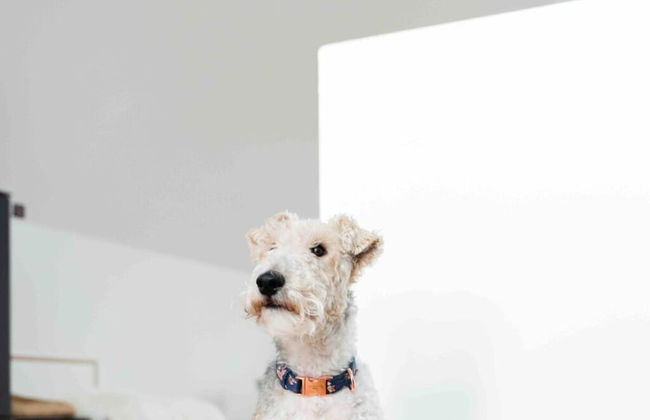 Harlepadd 3b Modern Retreat - Foto 21