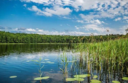 Holiday Home by Lake Klepnicko With Pier - Foto 43