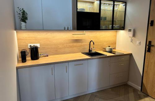 Apartamenty OFF PIOTRKOWSKA w Roosevelta Residence, Klimatyzacja, Wejście na KOD, WiFi, FV - Foto 25