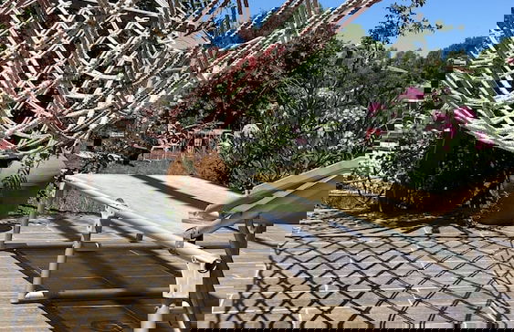 Nehir Bungalov Orhaniye - Photo 44