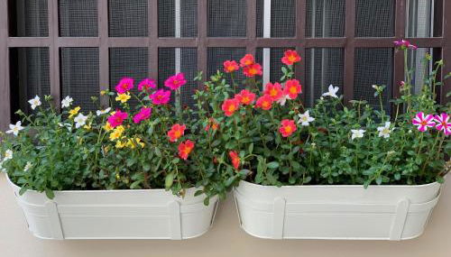 B&B La Corte - Foto 3