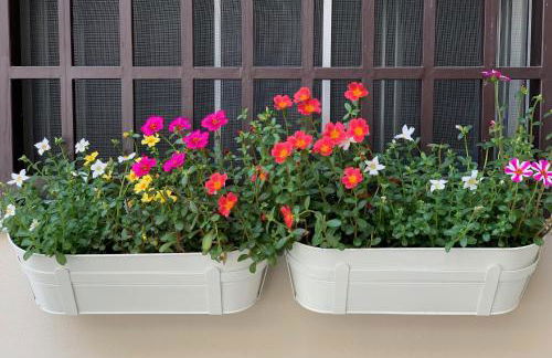 B&B La Corte - Foto 3