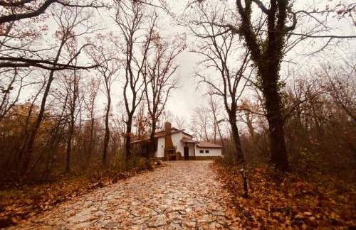 Arnaia Forest Villa - Photo 26