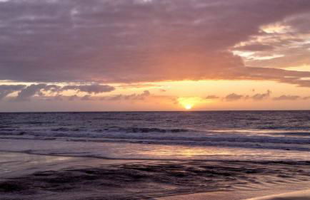 Ocean Dream 4A - Photo 26