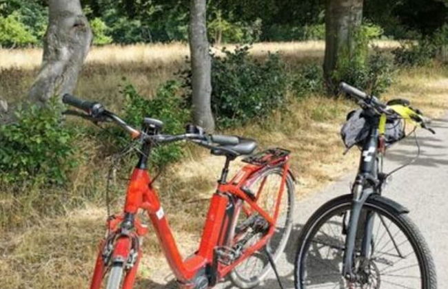 Holiday Home "schwedenhaus Bad Tabarz" - Foto 15