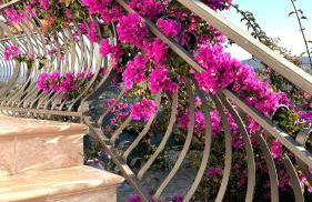 Casa Fortuna - primo piano in villa con vista panoramica a Castellabate - Foto 42