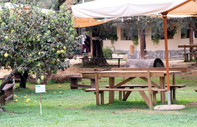 Su Leunaxiu - Foto 77