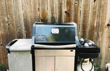 Wildland Zen Den Tiny House Retreat with Fireplace Grill AC Hammock Record Player Musical Instruments Pets OK - Foto 30