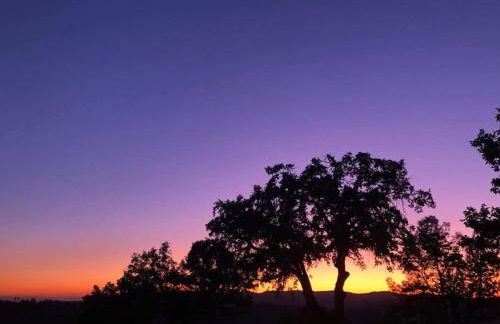 Moon Ranch - a gateway to Yosemite - Photo 23