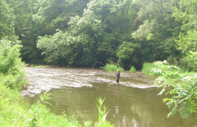 Apartment Near Forest and Hiking Trails - Foto 32