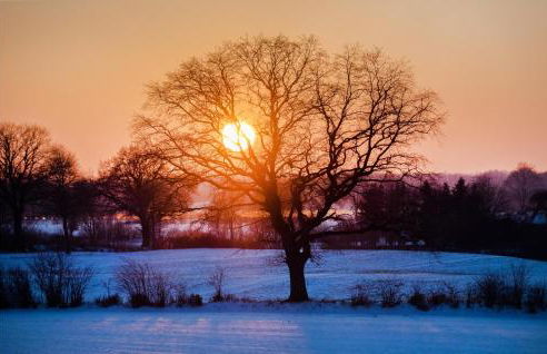 Cozy Home In Krems Iiwarderbrück - Foto 7
