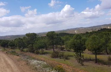 Monte Das Ferrarias - Foto 26