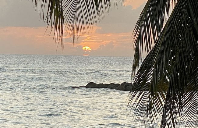 The Royal Bliss Barbados - Foto 37