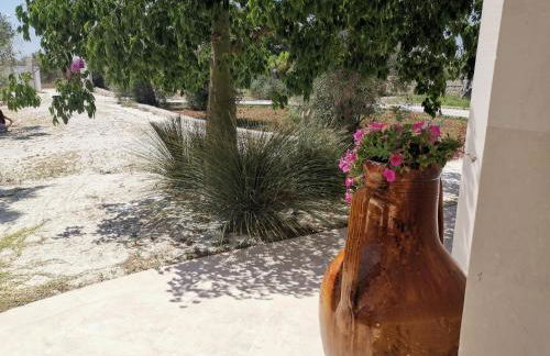 Dimora Santi Medici - Foto 68