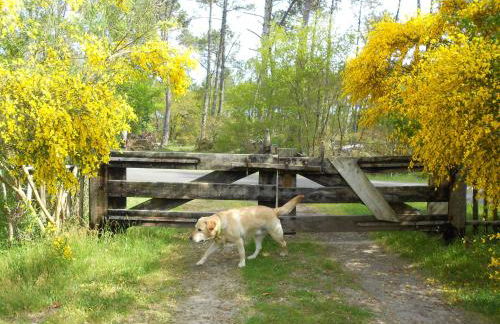 Les Rives du Lac de Léon - Foto 15