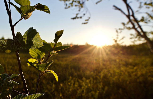 Villa Happy Fox - Photo 38