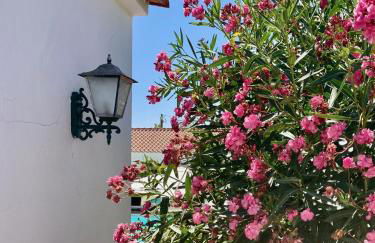 Quinta do Mastim - Foto 17