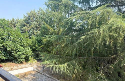 La Masseria - Foto 27