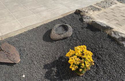 Mardelava - Photo 16