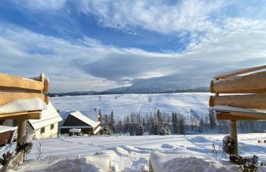 Domki Góralskie Dwa Misie - Foto 61