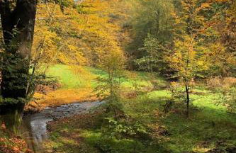 Apartment Urbane Remise by Interhome - Foto 20