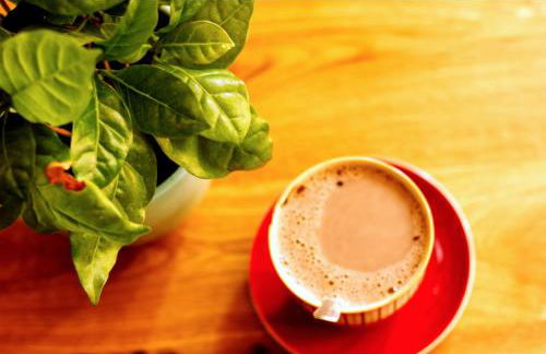 Souterrainwohnung mit großem Garten und Sauna - Photo 11