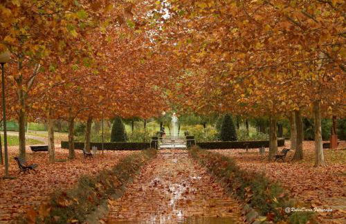 Apartamento Turístico Príncipe Cáceres AT-CC-00415 - Foto 20