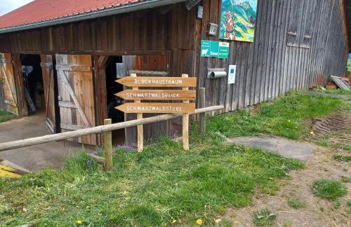 Schwarzwaldblick - Foto 7