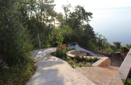 Mary's Garden - Foto 19