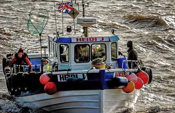 Sea Breeze Holiday Chalet - Foto 24