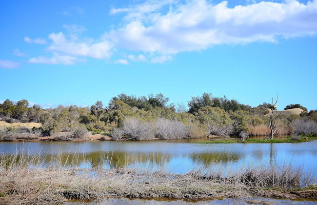 Apartamentos Oasis Maspalomas - Foto 33