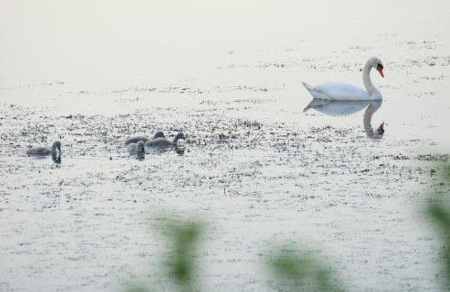 Miła Dolina - Foto 73