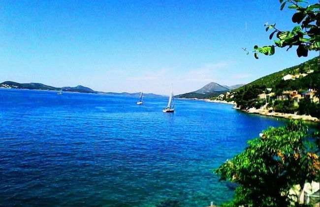 Sea of Eden - Foto 42