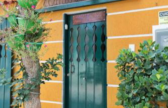 CANTO DA ARVORE 1 - Foto 1